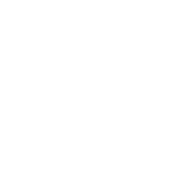 project shopify batonSucre